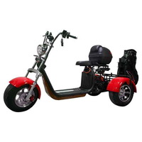 Scooter électrique de golf pliable à trois roues Citycoco 3000W GPS, étanche, avec une autonomie de 60 à 100 km
