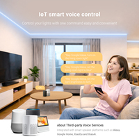Contrôleur LED RGB IoT PWM 1 canal SP533E, contrôle par application, commande vocale Alexa Google Home, synchronisation musicale, DC5V-24V, garantie 3 ans