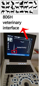 Appareil d'échographie vétérinaire <span class=keywords><strong>portable</strong></span> Ecograft Medical <span class=keywords><strong>2D</strong></span> pour animaux, grossesse - Product Image 2