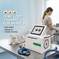 Machine Tecar RET CET PEMF à écran tactile intelligent de 8 pouces personnalisable, pour animaux, récupération corporelle, 2 en 1, machine Tecar PEMF