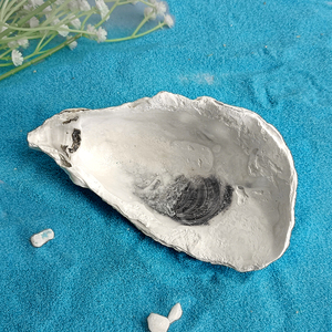 Conchas <span class=keywords><strong>de</strong></span> Ostra Secas Naturales, Conchas Marinas Vacías <span class=keywords><strong>de</strong></span> Ostra <span class=keywords><strong>de</strong></span> China para Exportación - Product Image 5