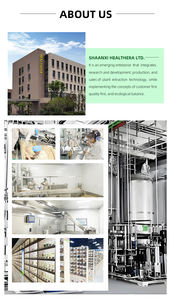 100% Ekstrak Daun Zaitun Herbal Alami Bubuk Bersertifikat HPLC Kemurnian Tinggi <span class=keywords><strong>Oleuropein</strong></span> Pasokan Massal dalam Drum untuk Makanan Kosmetik - Product Image 4