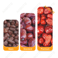 Séchoir à Dattes Uniforme, Sécheuse à Fruits Meyve Kurutma Makinesi, Capacité 360KG, Économie d'Énergie, Réduction des Déchets, Four à Sécher les Dattes