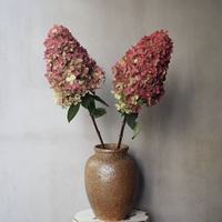 Hortensias séchés naturels de haute qualité, prix de gros, 25 cm+, pour la fête des mères, Thanksgiving, la Saint-Valentin