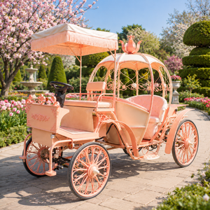 Chariot Électrique Rose en Forme de Citrouille pour Adultes, Carrosse de Princesse Premium pour Fêtes Thème <span class=keywords><strong>Barbie</strong></span>, Fêtes d'Été pour Filles et Camps d'Été - Product Image 4