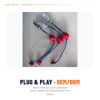 Prise de chauffage de stationnement 12V 250mm Modèle DHS-12/24 Garantie 1 an pour toutes les voitures