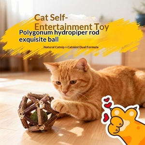 Jouet <span class=keywords><strong>pour</strong></span> <span class=keywords><strong>chat</strong></span> Lingle Ball en gros OEM, jouet à <span class=keywords><strong>chat</strong></span> à la catnip et à la <span class=keywords><strong>valériane</strong></span>, jouet à mâcher Lingle Ball, friandises <span class=keywords><strong>pour</strong></span> <span class=keywords><strong>chat</strong></span>, friandises <span class=keywords><strong>pour</strong></span> animaux de compagnie - Product Image 1