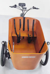TD-S4 balançoire dispositif d'équilibre électrique alimentaire <span class=keywords><strong>vélo</strong></span> capteur de couple cargo tricycle cargo <span class=keywords><strong>vélo</strong></span> courroie d'entraînement cargo <span class=keywords><strong>vélo</strong></span> néerlandais gravelbik - Product Image 2