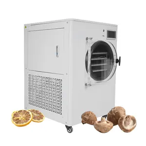 Máquina do secador do gelo do vácuo do alimento 20kg capacidade pequena mini/Lyophilizer, secador do gelo do café