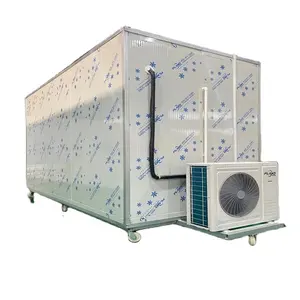 -20c Factory Competitive Price Cold Room Freezer Room Cold Storage For Chicken Meat Chambre Froide