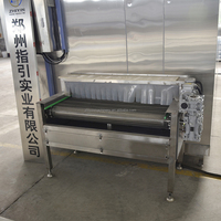 300kg/uur IQF-machine voor voedselverwerking, vriesmachine, lijn voor het maken van diepvriesfrieten, apparatuur voor laagtemperatuurvriezers