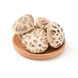 Chất lượng cao <span class=keywords><strong>Shiitake</strong></span> nấm khô và chuyên nghiệp trồng bởi nhà máy tinh tế Nấm - Product Image 4