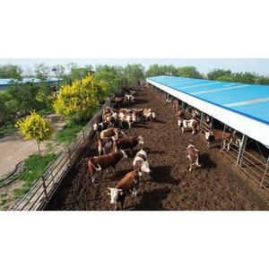 Edificios <span class=keywords><strong>de</strong></span> estructura <span class=keywords><strong>de</strong></span> acero prediseñados económicos, granja <span class=keywords><strong>de</strong></span> vacas prefabricada, cobertizo para Cabras, casa para ovejas a bajo <span class=keywords><strong>precio</strong></span> - Product Image 1