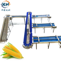 Universele automatische sorteermachine voor het verwerken van uien, knoflook, bosbessen & zeevruchten, gespecialiseerd in aardappelen