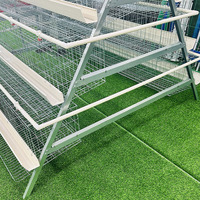 Cage à poules pondeuses galvanisée pour élevage en batterie, vente de cages pour poulets pondeuses, cage à poules pondeuses Rtl