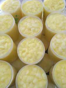 Kit <span class=keywords><strong>de</strong></span> marcos reutilizables para jalea real, equipo <span class=keywords><strong>de</strong></span> producción <span class=keywords><strong>de</strong></span> jalea real para apicultores - Product Image 6