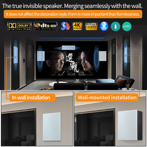 Sistema de Cine en Casa 5.1 DTS, Amplificador Digital HD de Pared, Sistema de Sonido Envolvente, Sistema de Cine en Casa 5.1 Montado en la Pared - Product Image 3