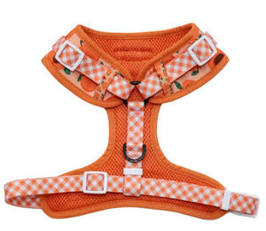 Tali kekang anjing pola kustom dapat dibalik dengan fitur Label personalisasi-produk hewan peliharaan kaya - Product Image 3