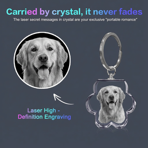 Portachiavi in Cristallo K9 di Alta Qualità con Zampa di Cane o Gatto, Regalo Personalizzato per Amanti degli Animali, Incisione 3D della Foto, Artigianale - Product Image 5