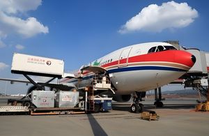 Fret aérien Express économique de la Chine vers l'Ouganda <span class=keywords><strong>Brazzaville</strong></span> <span class=keywords><strong>Congo</strong></span> Tanzanie Kenya Afrique <span class=keywords><strong>du</strong></span> Sud Nigéria - Product Image 5