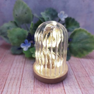 Cúpula de Cristal Transparente en Miniatura con Base de Madera para Decoración - Product Image 4