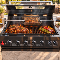 Panier de rôtissage en acier inoxydable pour barbecue à gaz, cage rotative pour agneau, poulet, côtes, accessoires de barbecue extérieur, OEM disponible