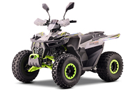 Nouveau Quad 4 Roues Automatique 110cc 125cc à Moteur 4 Temps pour Enfants avec Transmission par Chaîne et Certification CE
