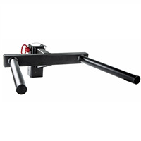 DIP BAR Bras Flexion et Extension Formation Squat Rack Barres Parallèles Équipement de Fitness Fonctionnel CF Rack Applicable