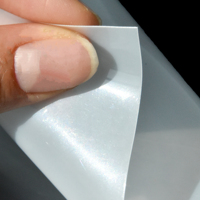 Film de serre agricole en plastique PET avec fil d'acier pour cour – Vente chaude usine