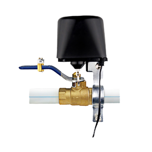 Eleveniot 2025 tuya <span class=keywords><strong>Wifi</strong></span> ZigBee thông minh mô-đun chuyển đổi EU/chúng tôi tương thích hỗ trợ bằng giọng nói ứng dụng từ xa nhà thông minh sử dụng tư nhân khuôn - Product Image 5