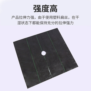 Custom Made Perforated Weed Control Fabric Black Non Woven Anti Uv Garden Ground Cover Shandong Origin - Product Image 5