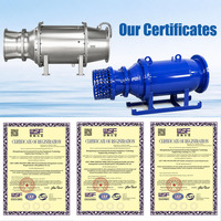Pompe Axiale Submersible Haute Efficacité SUBEAST WQ OEM, Grand Débit, Faible Hauteur de Refoulement, Contrôle des Inondations Intenses, Acier Inoxydable, Basse Pression