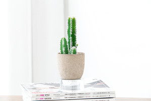 Nuevo diseño barato al por mayor lindo <span class=keywords><strong>cactus</strong></span> de pulpa de papel maceta artificial plantas suculentas bonsai para la venta - Product Image 3