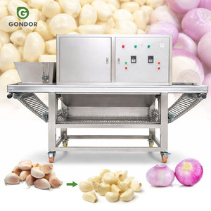 Peladora de Ajos Comercial con Cadena, Tipo Industrial, para Ajo y Cebolla, con Soplador - Product Image 1