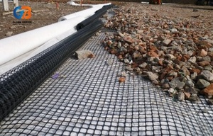 Géogrille HDPE Bidirectionnelle Haute Résistance pour le Renforcement des Allées, des Talus et des Murs <span class=keywords><strong>de</strong></span> Soutènement – Qualité Industrielle - Product Image 5