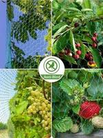 Vogelbeschermingsnet Vogelwerend gaas HDPE Groen Diamantpatroon Knooploos Rolnet voor Fruitbomen Boomgaarden Groenten