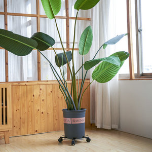 Caddie <span class=keywords><strong>à</strong></span> plantes rond en métal noir pratique avec 4 roues, <span class=keywords><strong>support</strong></span> de rouleau, déménageur de jardinière intérieure et extérieure, <span class=keywords><strong>roulettes</strong></span>, plateau roulant - Product Image 1