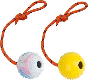 Os à mâcher et balle jouet durables pour chien, non toxiques, résistants aux morsures, pour le nettoyage des dents, le soulagement de l'ennui et le jeu quotidien - Product Image 1