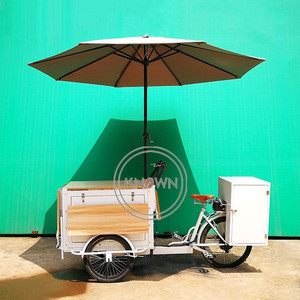 Tricycle à café de rue OEM, <span class=keywords><strong>chariot</strong></span> de vente de nourriture et de collations, vélo cargo mobile à vendre - Product Image 4
