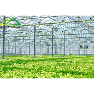 ระบบเรือนกระจกไฮโดรโปนิกส์แบบลอยน้ำ |   ระบบปลูกพืชแบบน้ำลึก (DWC) สำหรับการเพาะปลูกผักใบเขีย<span class=keywords><strong>ว</strong></span>และสมุนไพรให้ผลผลิตสูง - Product Image 5