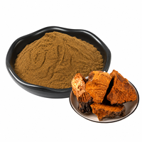 Extrait de champignon Chaga naturel en poudre, polysaccharides, ingrédient de complément de haute qualité, vente en gros, OEM, ODM