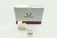 Kit de bilirubine directe (D-BIL) BC164 de haute qualité (oxydation chimique) pour la recherche