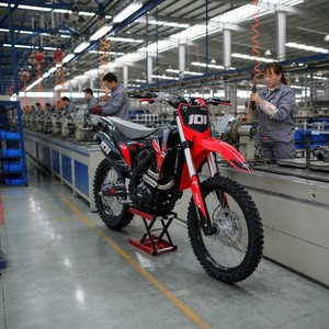 Motocicleta Todoterreno Enduro de 300cc, Motor Refrigerado por Aire, Escape de Acero Inoxidable, Tanque de 7L, Componentes Reforzados - Product Image 4