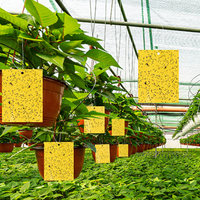 Pièges collants jaunes double face tendance, utilisation intérieure et extérieure, piège physique sûr pour les insectes pour les plantes