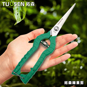 Sécateur à fruits Topsen en acier inoxydable, 8 pouces, poignée papillon, pour la taille des arbres fruitiers - Product Image 5