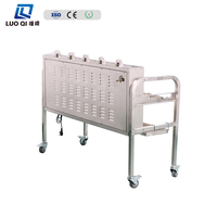 Barbecue portable à gaz pour poulet, cochon et agneau, rôtissoire d'extérieur, modèle 2026, vente chaude, idéal pour la cour et le jardin