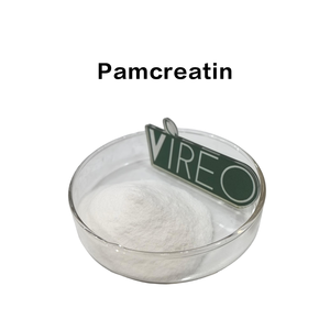 Poudre de Pancreatine en Gros CAS 8049-47-6 Suppléments d'Enzymes Pancréatiques de Haute Pureté pour Chiens - Product Image 1