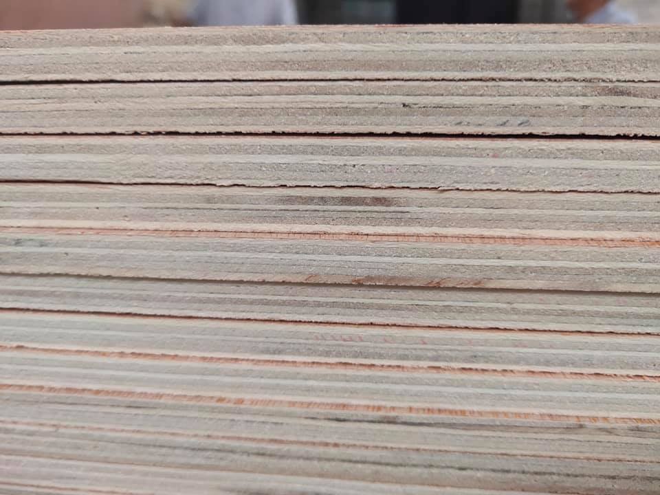 Flat birch timber for cutting dies SUNNYPLEX