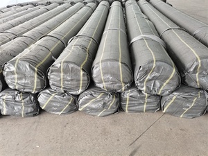 Géomembrane robuste imperméable en HDPE/LDPE pour revêtement de barrage et bassin de pisciculture, très demandée en Afrique - Product Image 5