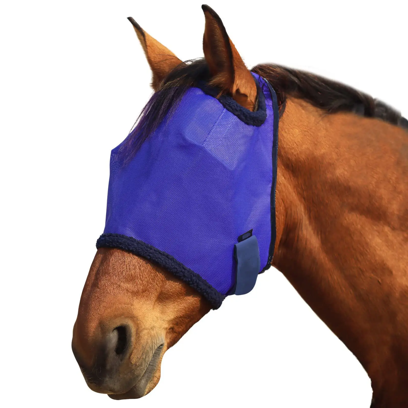 2022 новый цветной комфортный сетчатый щит для лица лошадей защита от ультрафиолета дышащая эластичная лента Мягкая Стандартная маска для лошадей